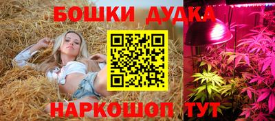 мдпв Сланцы